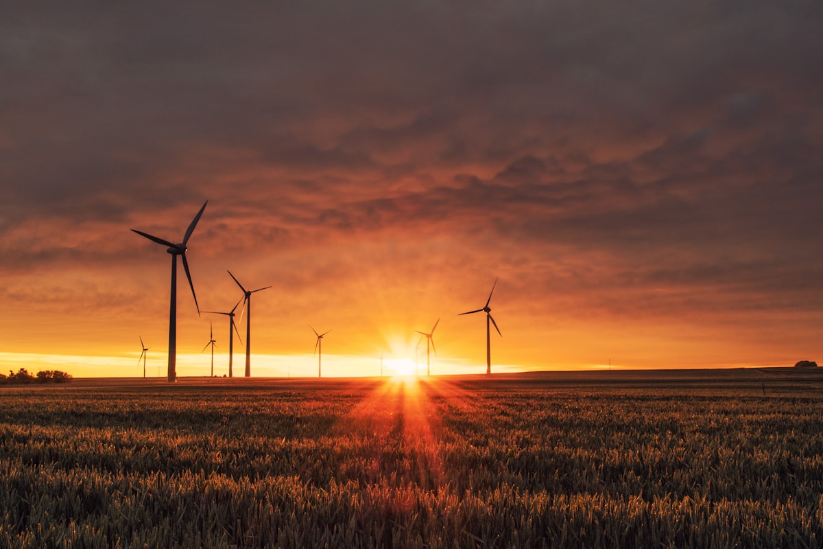 RSB Issues RED III Compliance Guidance for Power-to-Liquid e-Fuels Operators