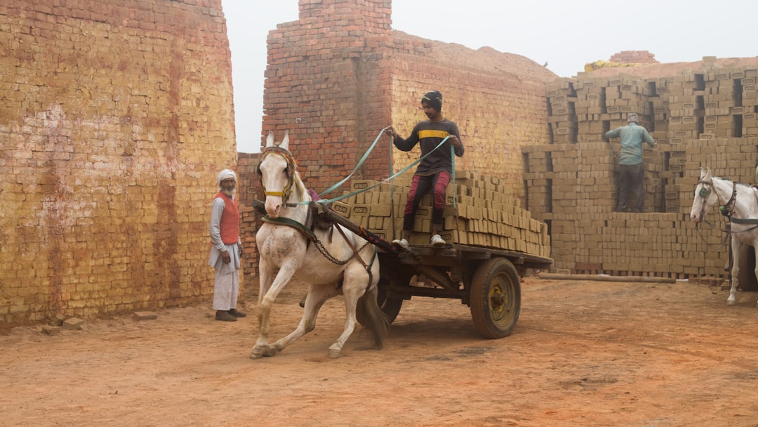 Horse Powertrain's X-Range C15: Hybrid Efficiency Meets EV Architecture