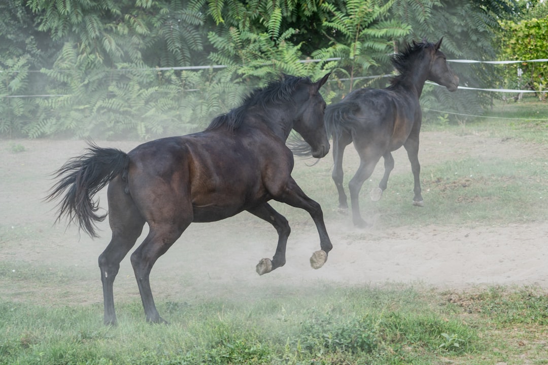Horse Powertrain D20 Methanol REEV Puts E-Fuels in Mass-Market Frame